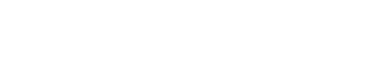 Logo Footer